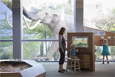 “He Fell in and That's How He Became a Fossil!”: Engagement With a Storytelling Exhibit Predicts Families' Explanatory Science Talk During a Museum Visit